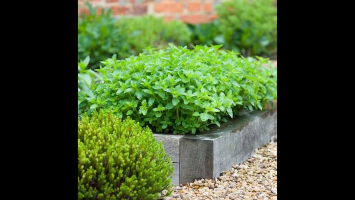 Protecting Your Garden: Tenants Stand Against Landlord’s Plans Protecting Your Garden: Tenants Stand Against Landlord's Plans