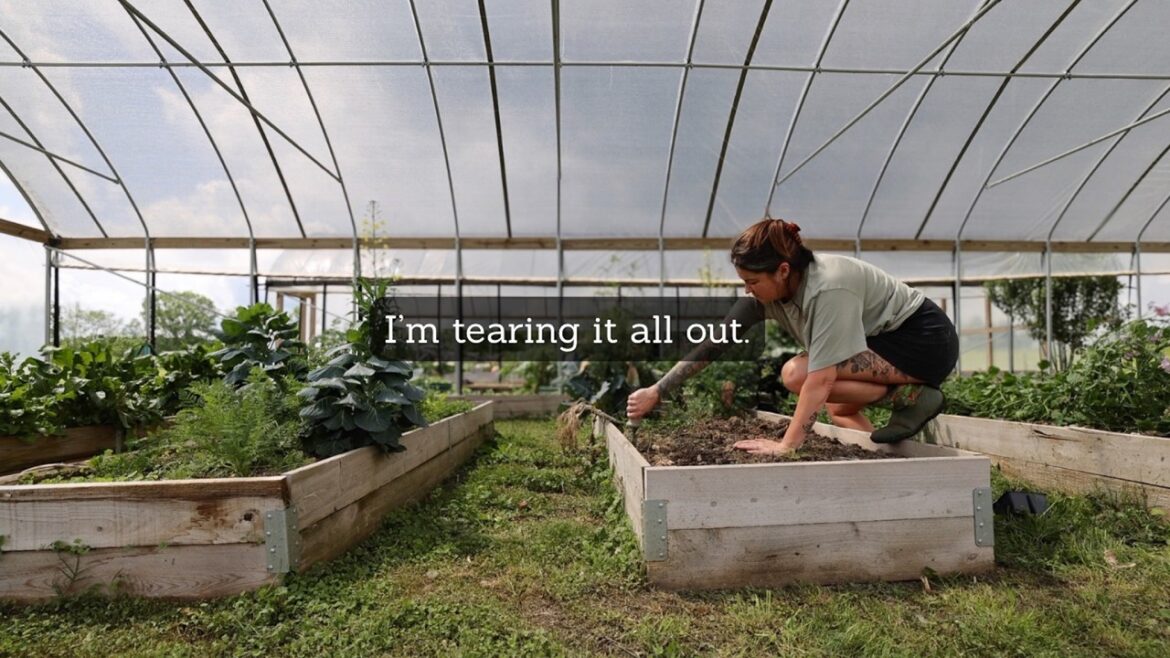 Roots and Refuge Farm: Resetting the high tunnel for the new season | VLOG Resetting the high tunnel for the new season | VLOG