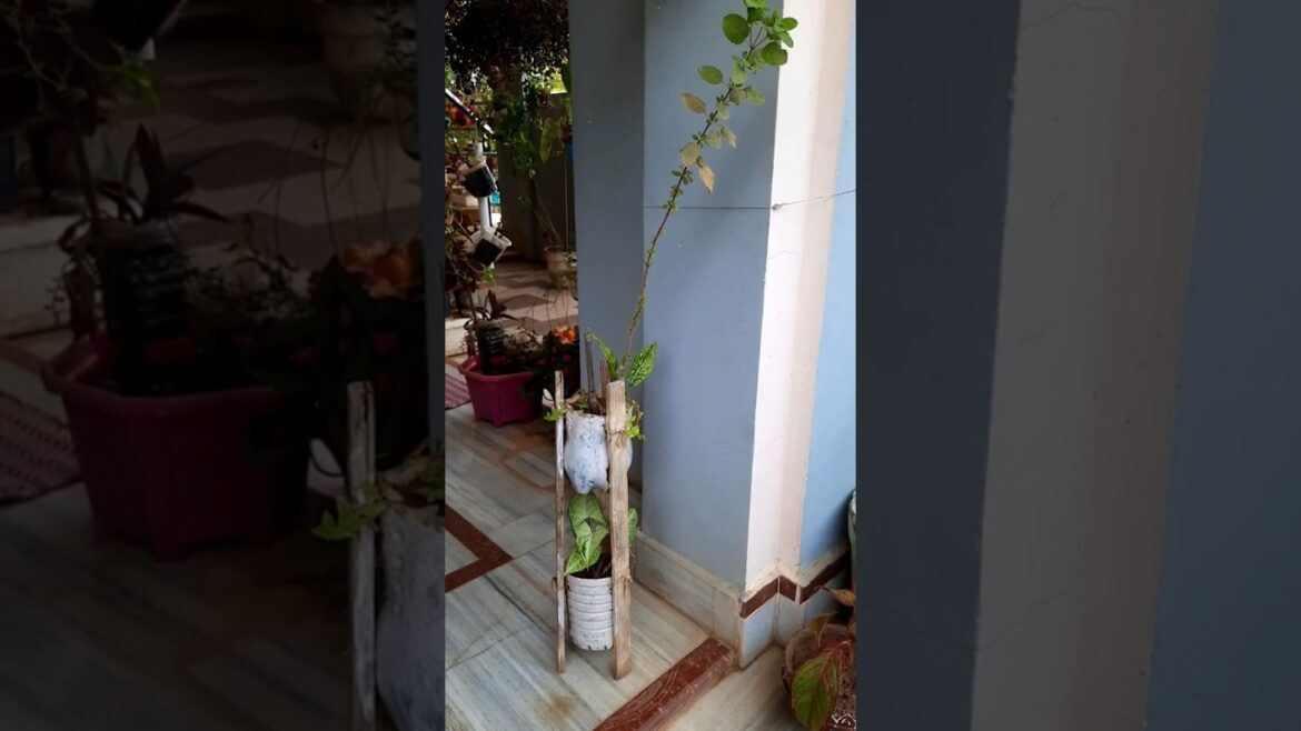 #gardendesign #garden#plants #diy #gardening #diycrafts #Homemadeplanters# #gardendesign #garden#plants #diy #gardening #diycrafts #Homemadeplanters#