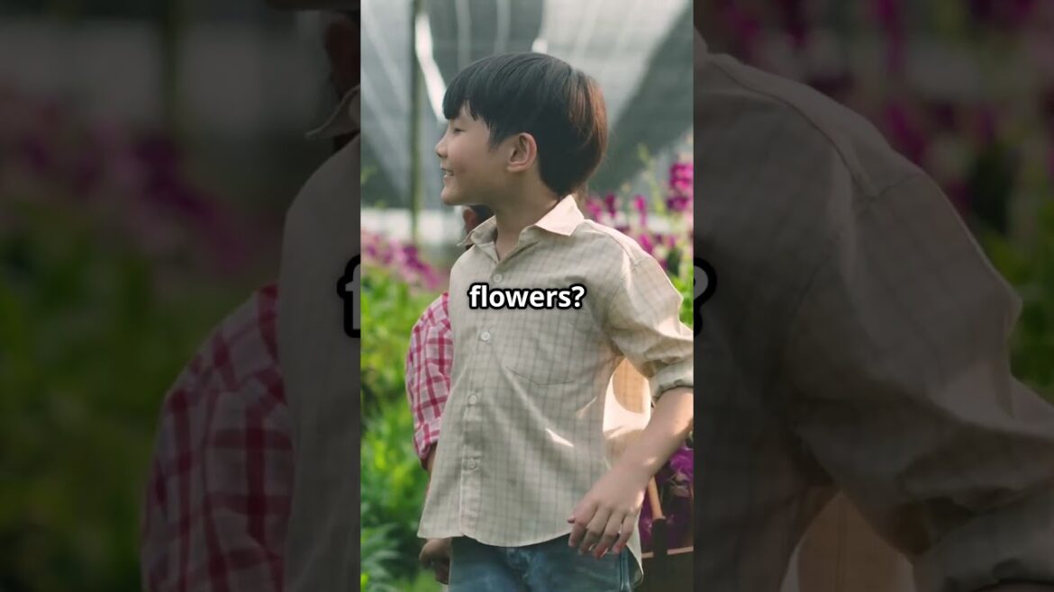 🌸🥗 Edible Flowers Your Salad Just Got a Confetti Upgrade Thanks to Container Flower Gardening Ideas!