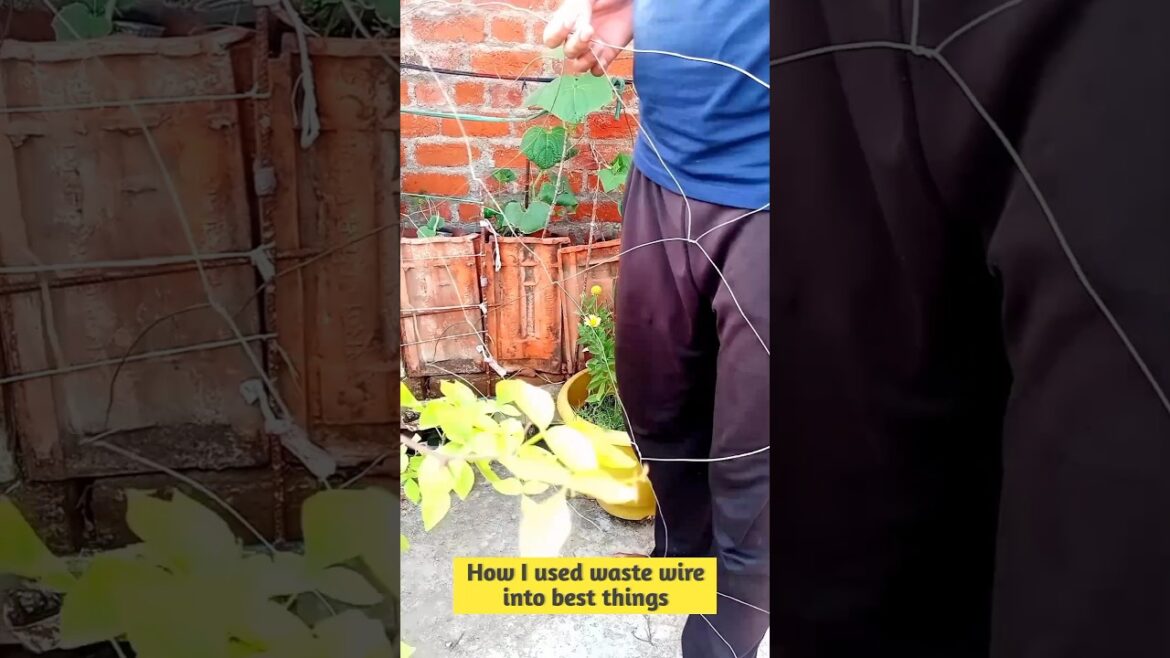 Low cost gardening hacks । budget friendly gardening tools #organicgardening
