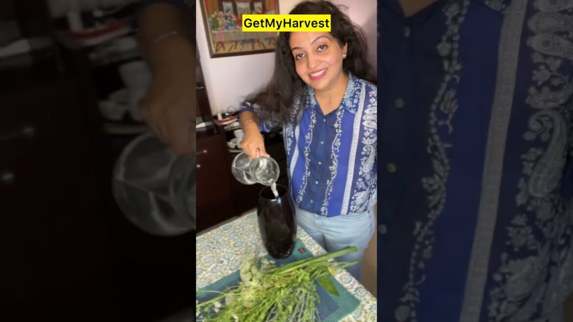 Yeh kaisa harvest hai | Chalo Adventure pe chalte hain #shorts Yeh kaisa harvest hai | Chalo Adventure pe chalte hain #shorts