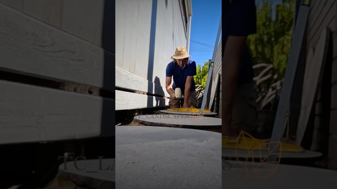 Step stone pathway  #gardendesign #backyarddesign #garden