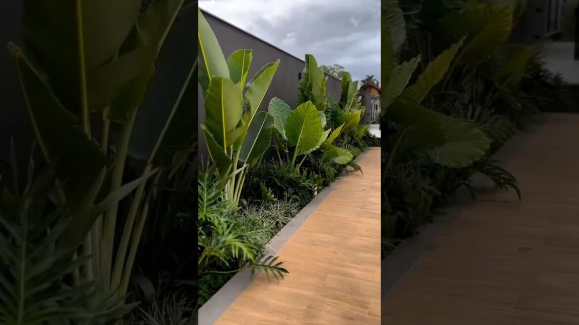 Garden design #kdesignstudio_ #home #homedecor Garden design #k_design_studio_ #home #homedecor