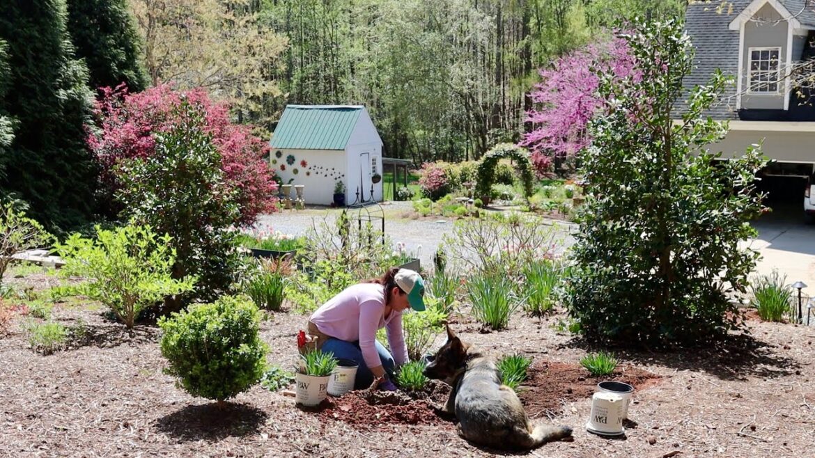 Adding Rabbit Resistant Perennials to the Garden Adding Rabbit Resistant Perennials to the Garden