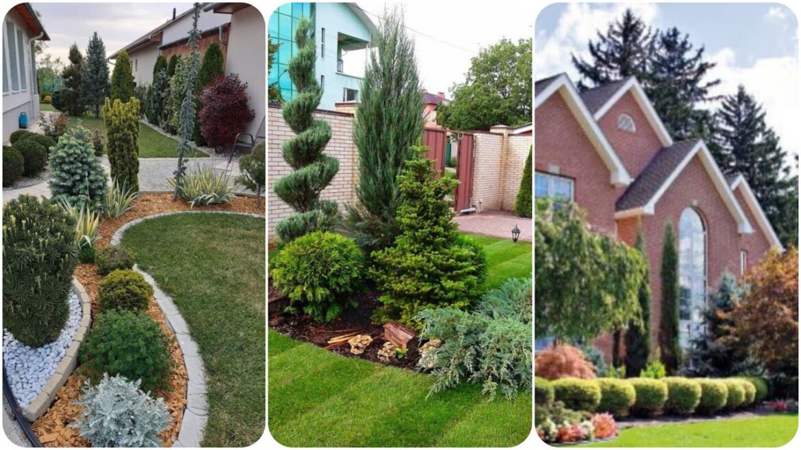Front yard landscaping ideas | Front Yard landscaping ideas Low Maintenance | Curb appeal Front Yard Front yard landscaping ideas | Front Yard landscaping ideas Low Maintenance | Curb appeal Front Yard
