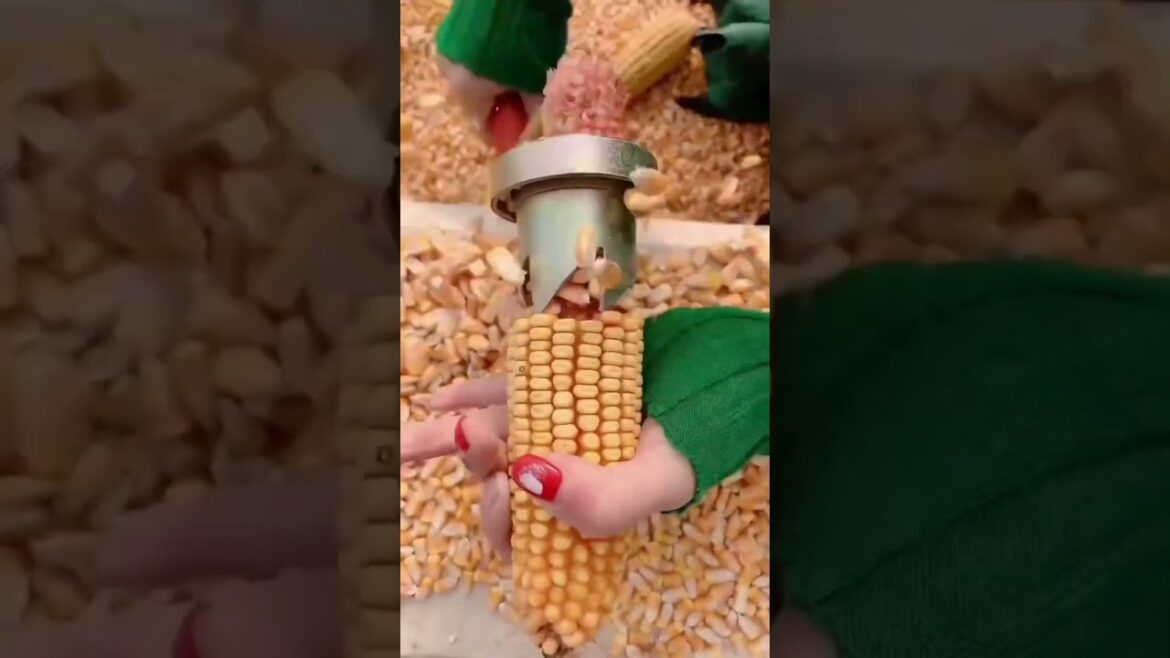 Best gardening tools #shorts #best #gardening #tools #agriculture #machine Best gardening tools #shorts #best #gardening #tools #agriculture #machine