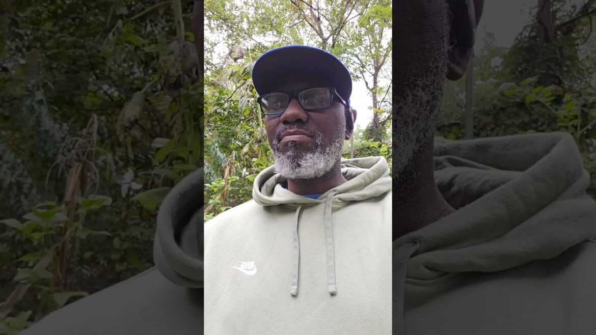 Let's stroll through the Japanese garden and grab some veggies.  #backyardgardening #garden #yard