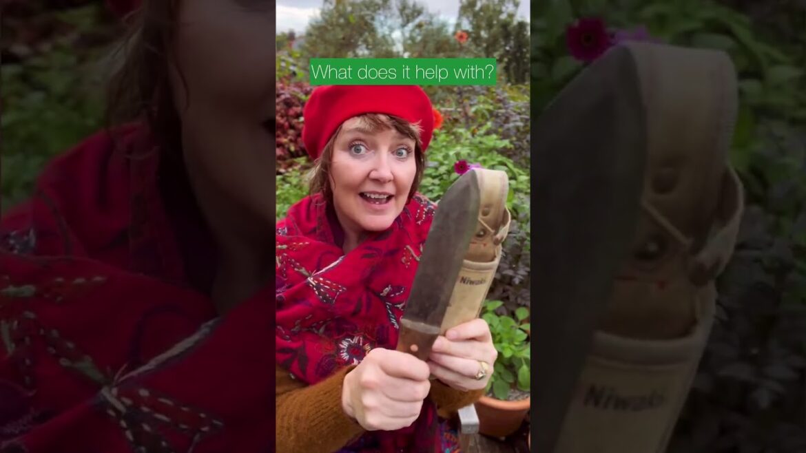 Gardening just wouldn’t be the same without it!  #myrealgarden #garden #gardentool Gardening just wouldn’t be the same without it!  #myrealgarden #garden #gardentool