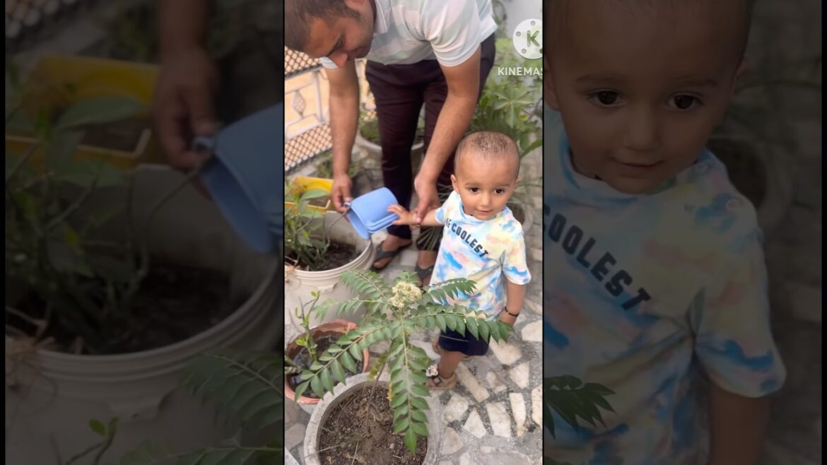 Avi 👶 ne diya plants 🪴ko paani #avirmalikvlogs#trendingshorts #ytshorts #cutebaby #nature