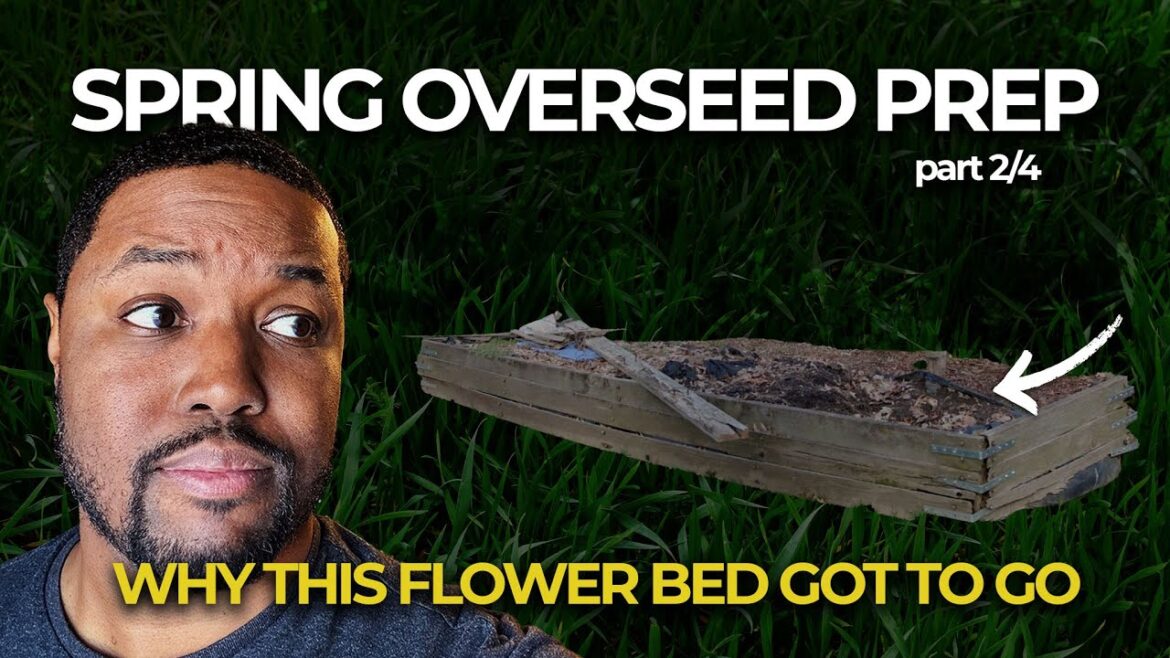 Getting Rid of a Old Flower Bed | Spring Overseed Prep  Part 2/4