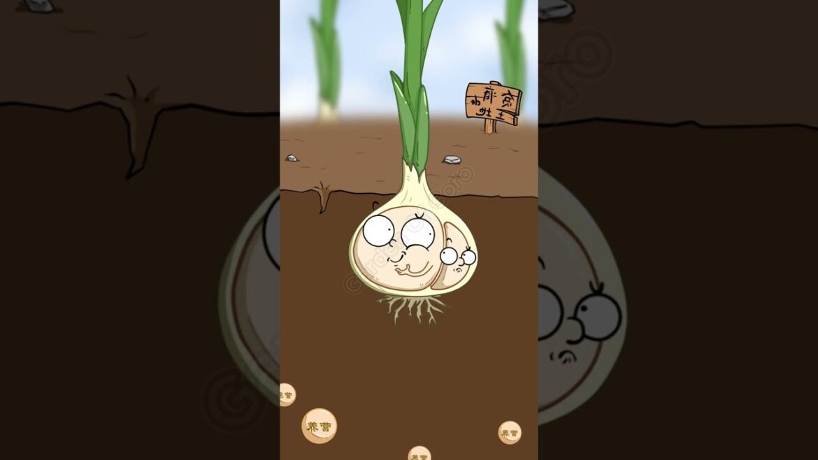 S69| Methods for growing single garlic #GardenOfGoro #GardeningTips #cartoon