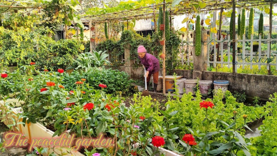 The Peaceful Garden, Harvesting Cooking Vegetable Gardening Raising Chickens and Fish| mother's life