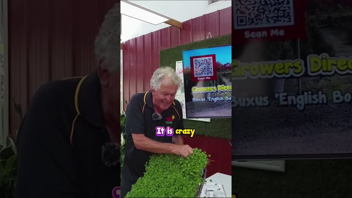 You Have Everything to Create a Cheap Low Maintenance Garden.