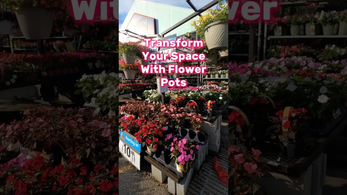 Transform Your Space with Flower Pots #flowerpots #homedecor #gardening #shorts