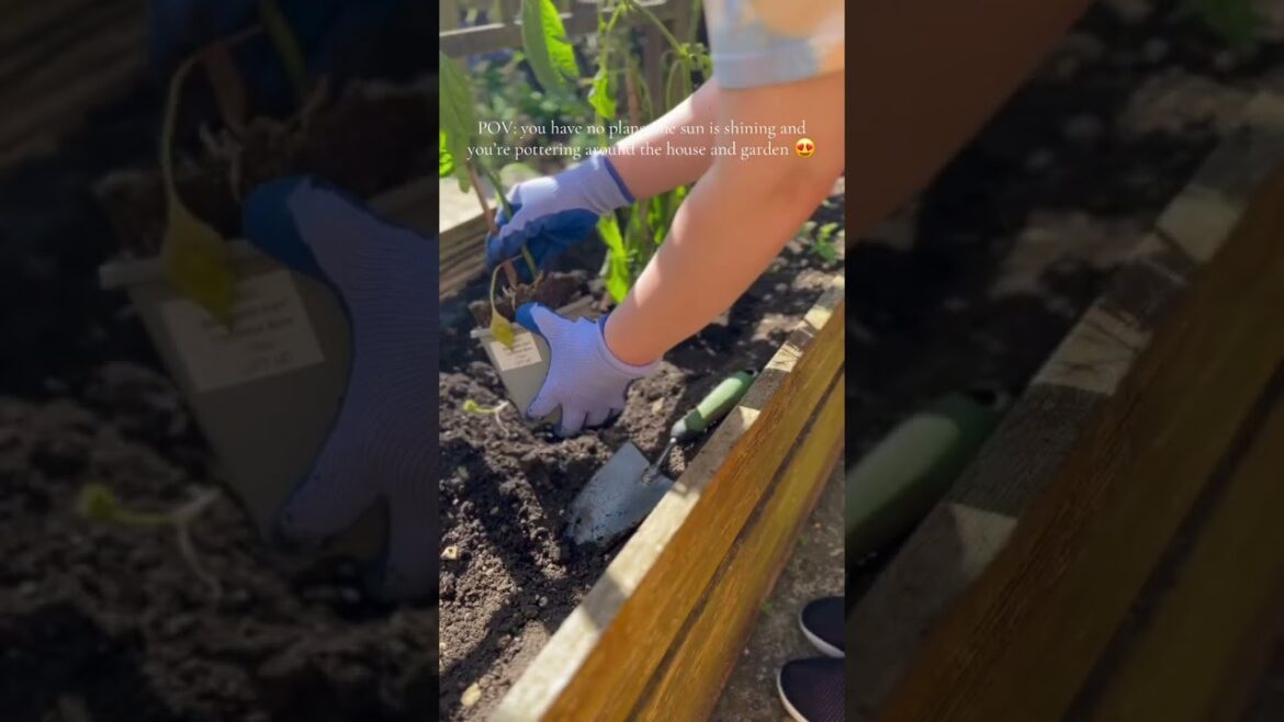 When you have no plans, the sun is shining and you’re pottering around the house and garden 😍 When you have no plans, the sun is shining and you’re pottering around the house and garden 😍