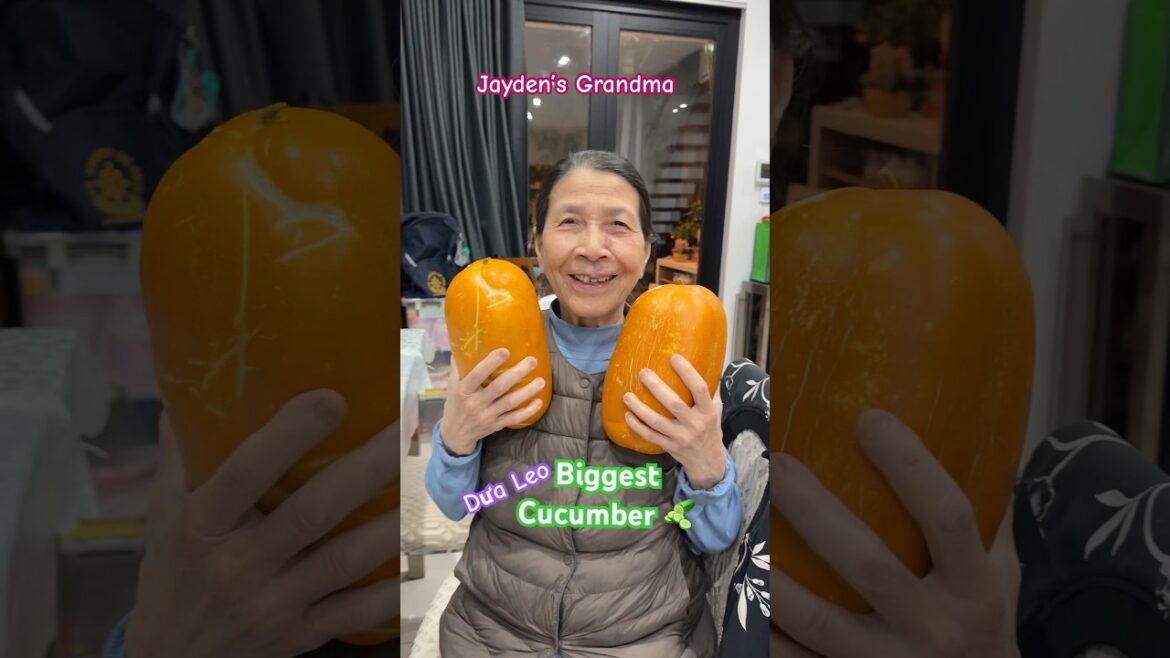 Giant Cucumber 😱 #shorts #satisfying #garden #enjoy #fruit