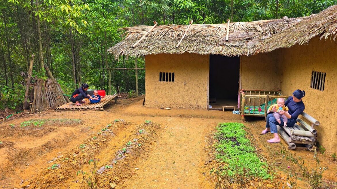 Ly Tieu Ca fertilizes the vegetable garden: Bathing her son