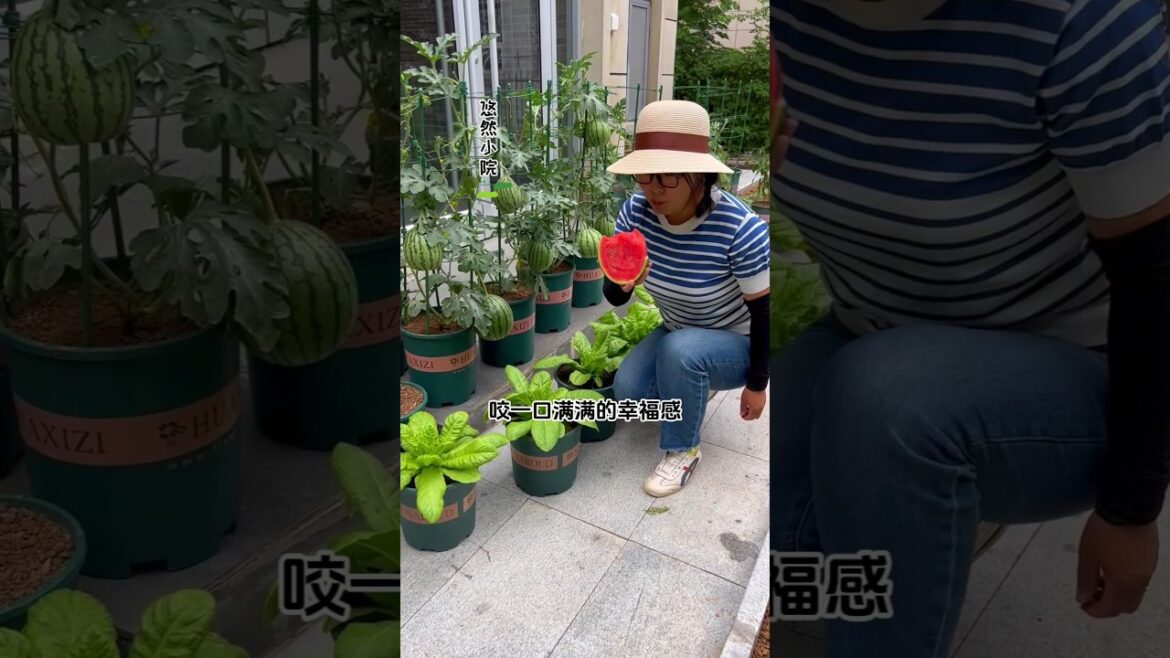 "I Tried This Planting Hack and My Garden Exploded with Growth!"❤️💯 #garden #shorts #gardending