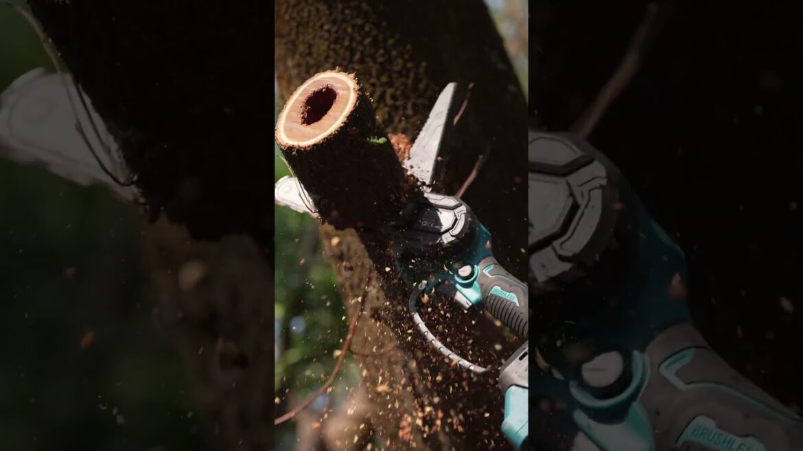 Reach New Heights in Gardening🌳   #gardening #tools #gardeningtools