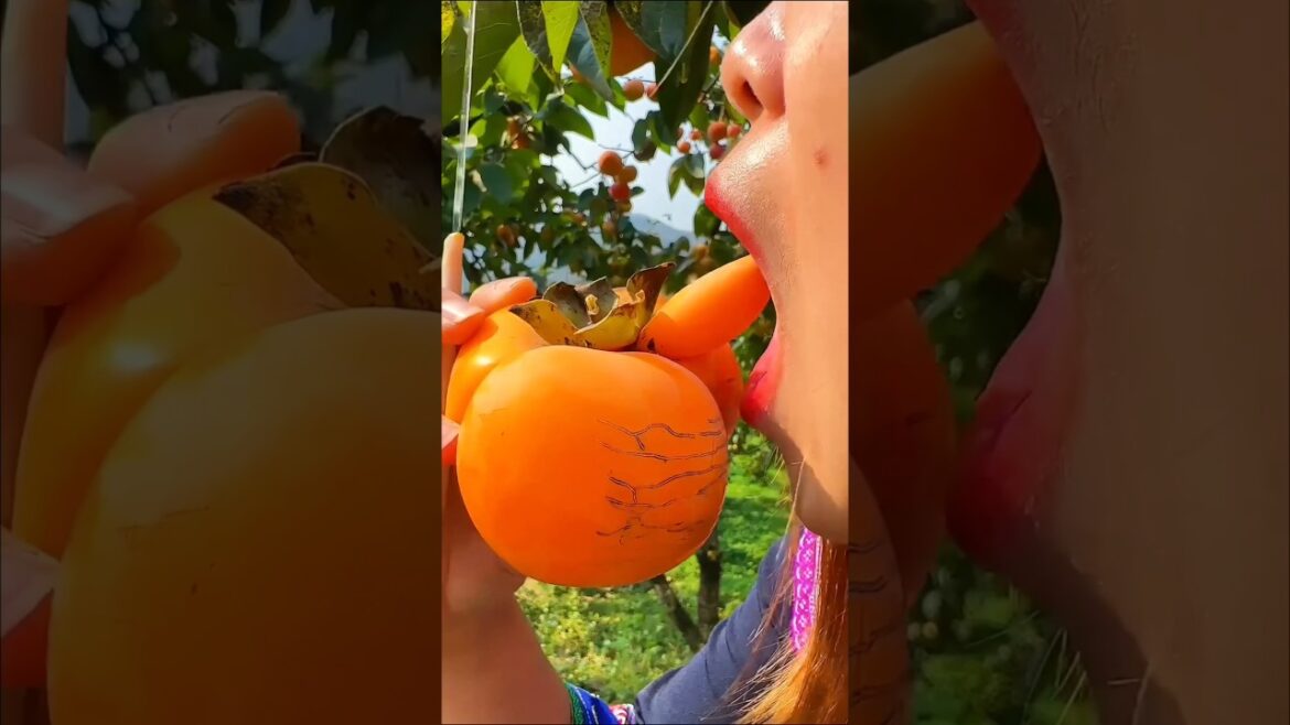 আল্লাহর কি নিয়ামত দেখুন টকটকে হলুদ মাশাআল্লাহ😱🤲, #status #fruit #nature #gardening #viralvideo আল্লাহর কি নিয়ামত দেখুন টকটকে হলুদ মাশাআল্লাহ😱🤲, #status #fruit #nature #gardening #viralvideo