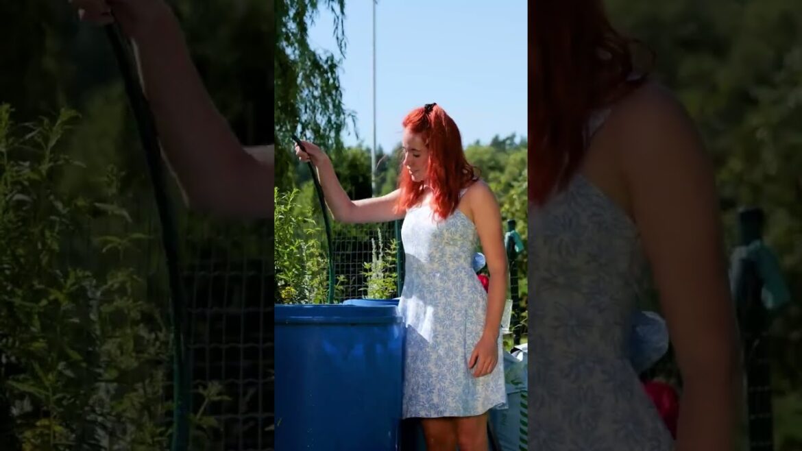 Great gardening hacks that will surprise you ✅