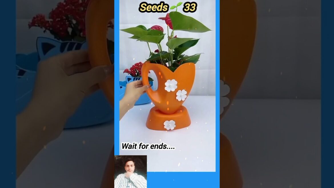 Bottle craft garden idea | বতোল বাগান #seedsplants33 #shorts #garden #craft #Bottle #bottlegarden Bottle craft garden idea | বতোল বাগান #seedsplants33 #shorts #garden #craft #Bottle #bottlegarden
