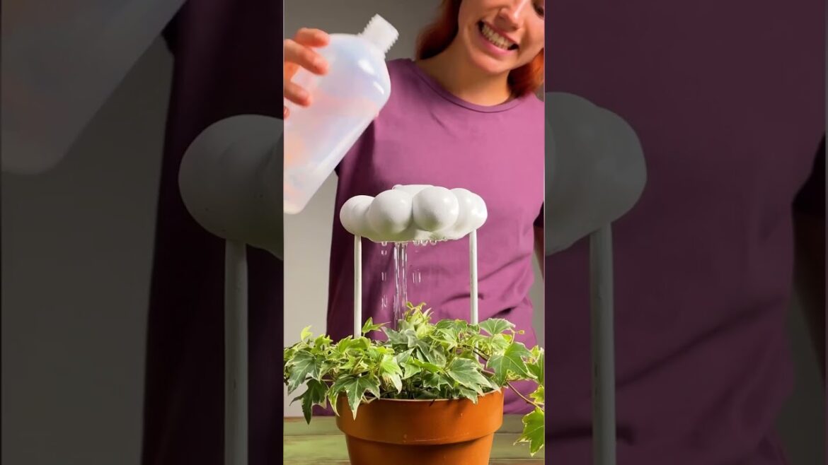 How to keep houseplants hydrated? 💦 #houseplants #hydrate #garden #plant