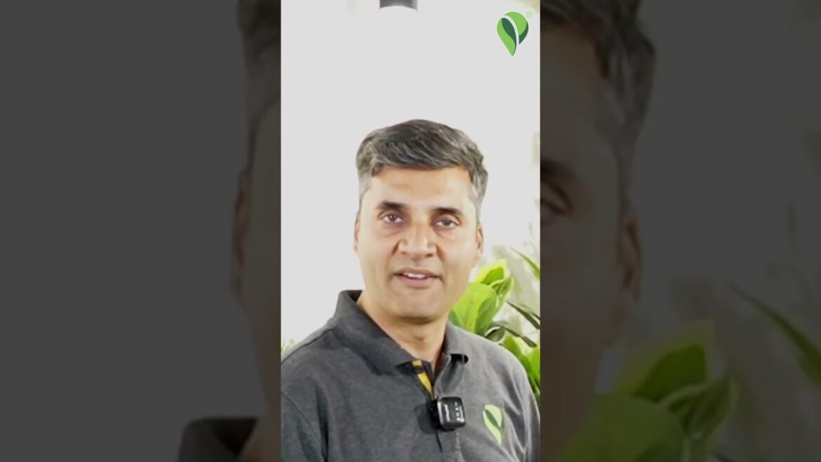 Creeper Plant Magic! 🌿 Tips, Aesthetic Ideas & Expert Advice from Pariworld