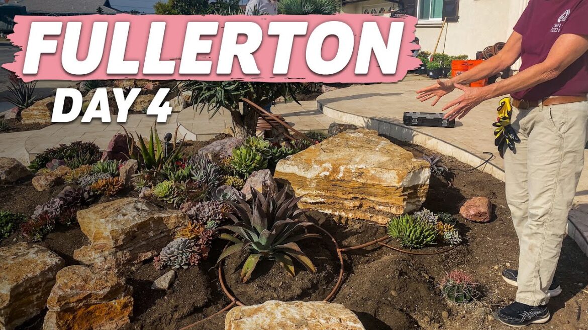 Front Yard Desert Landscape Installation | Fullerton Day 4 Front Yard Desert Landscape Installation | Fullerton Day 4