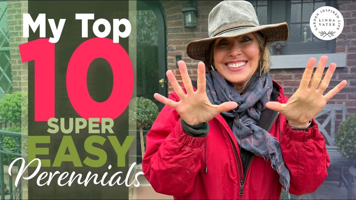 My Top 10 SUPER EASY Perennials ๐ฑ๐ My Top 10 SUPER EASY Perennials ๐ฑ๐