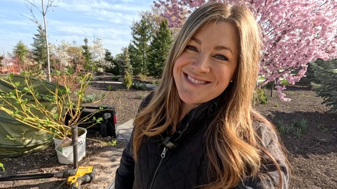 Garden Answer: Planting 3 Shrubs & 3 Trees + A Few More Cleanup Projects! 🌿🌳✂️ // Garden Answer Planting 3 Shrubs & 3 Trees + A Few More Cleanup Projects! 🌿🌳✂️ // Garden Answer