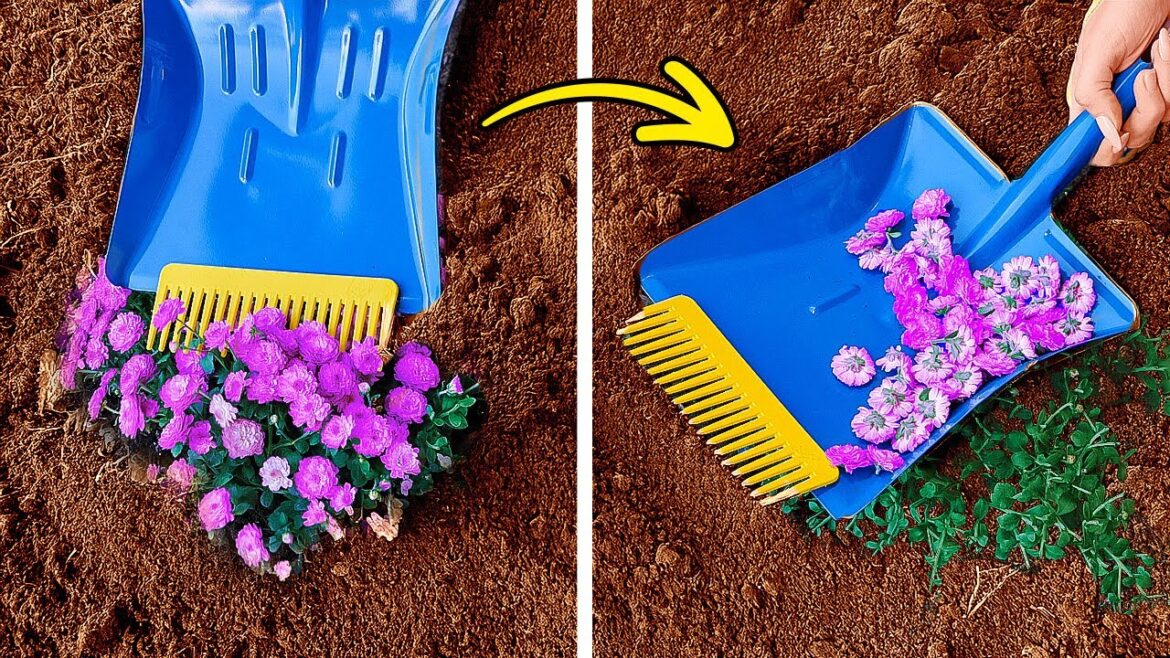 GARDENING HACKS FOR SUMMER 🌸🌿 TIPS TO GROW YOUR PLANTS GARDENING HACKS FOR SUMMER 🌸🌿 TIPS TO GROW YOUR PLANTS