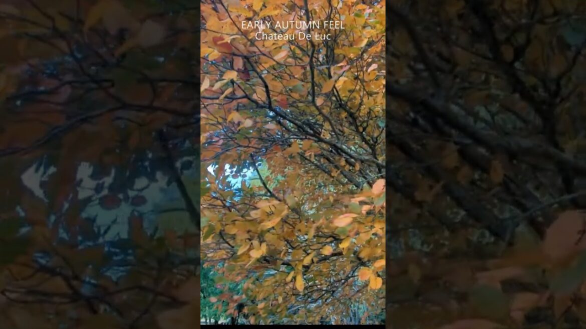 Chateau De Luc - Colours on a Autumn Evening