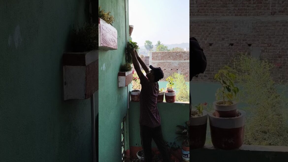 Gardening ideas #gardening #gardendecor #shahBaag Gardening ideas #gardening #gardendecor #shahBaag