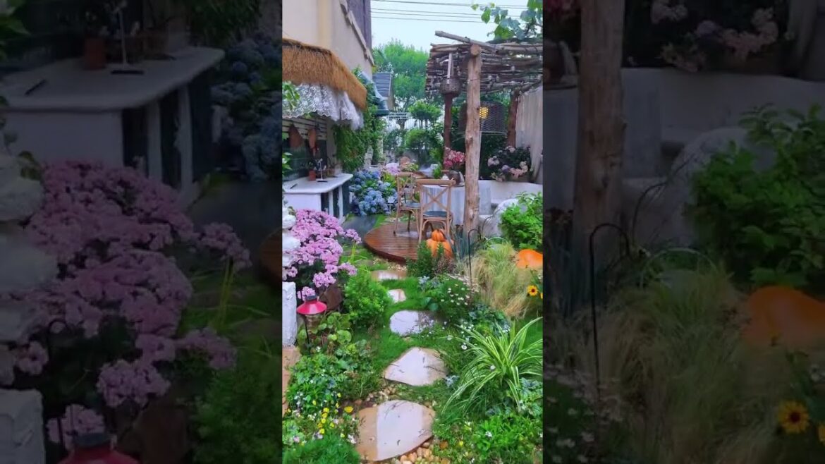 I am asked every day what my garden looks like when it rains.#Dream Room #MyGarden #rain