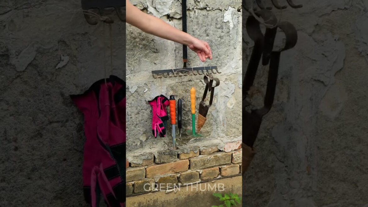 Creative Gardening Hacks to Grow Lush Space 🌱