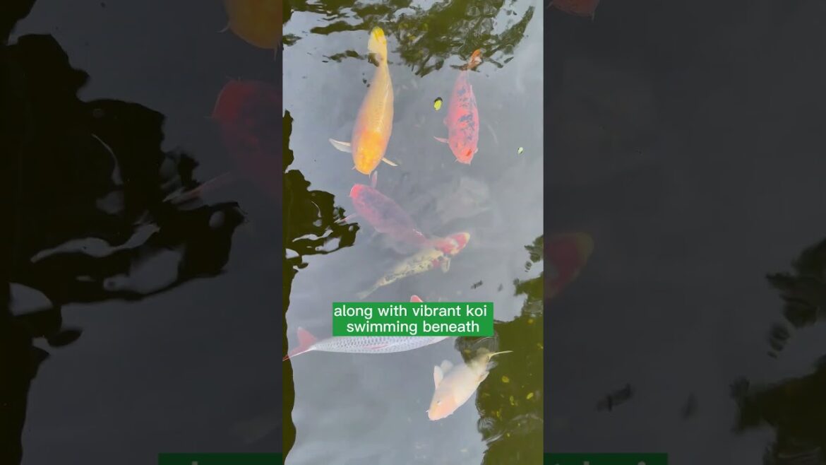 Japanese Garden Design and Inspo Japanese Garden Design and Inspo