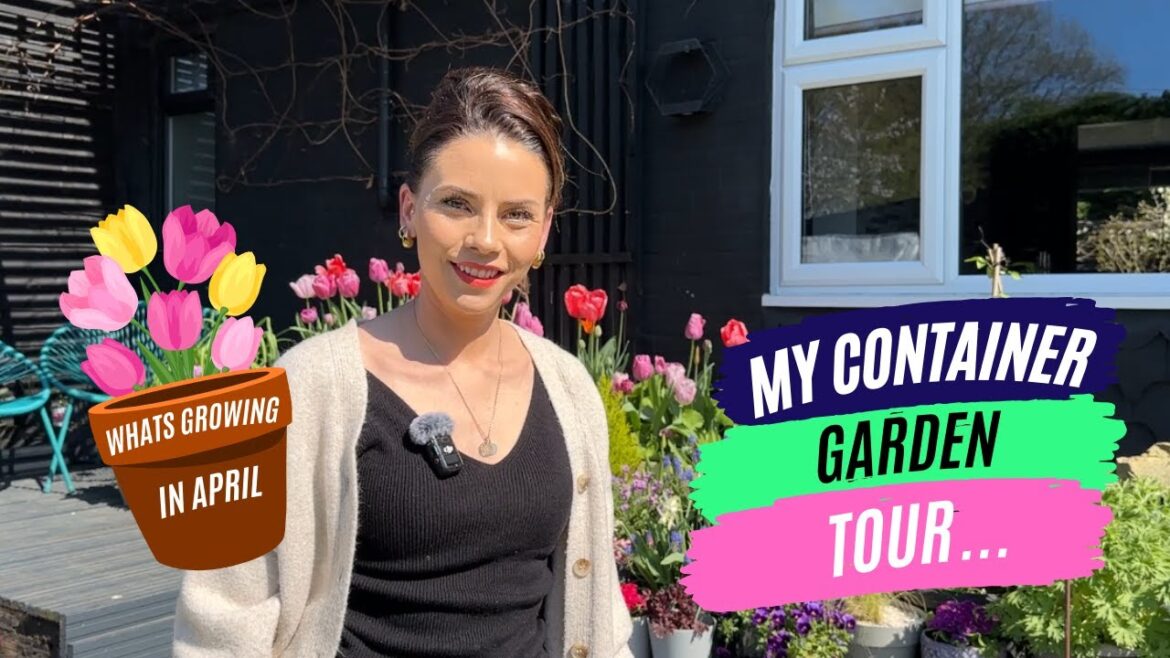My April CONTAINER GARDEN Tour...