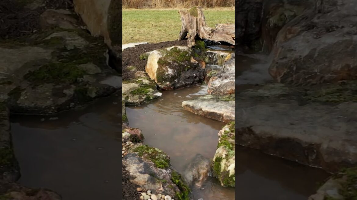 Watch This Backyard Come to Life! | #beforeandafter