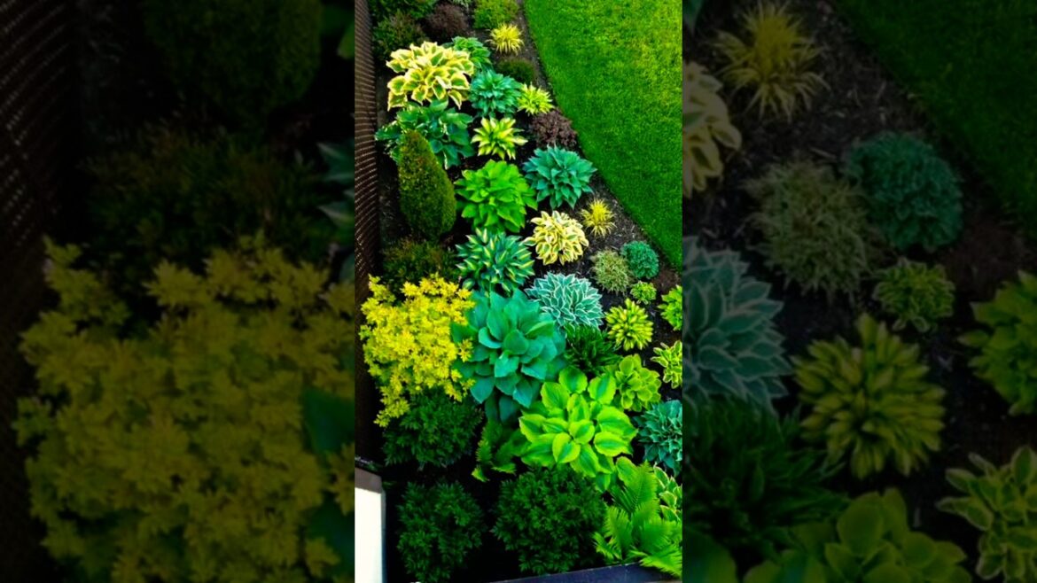 Garden landscaping ideas 🌿💚☘️🌵🌱🏡😭🦩🐞🌷 #shorts