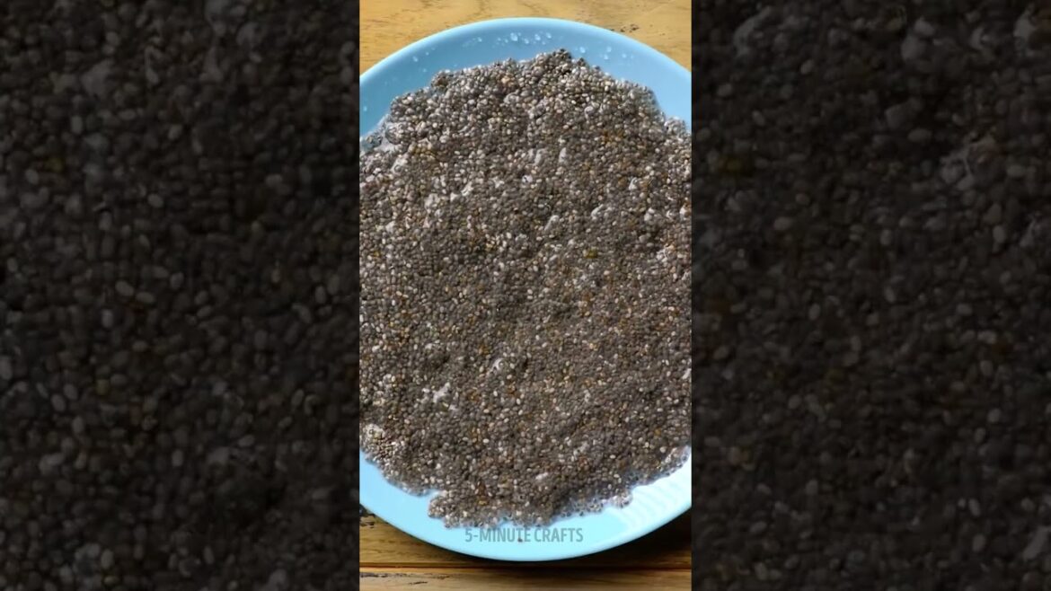How to grow chia from seeds?
