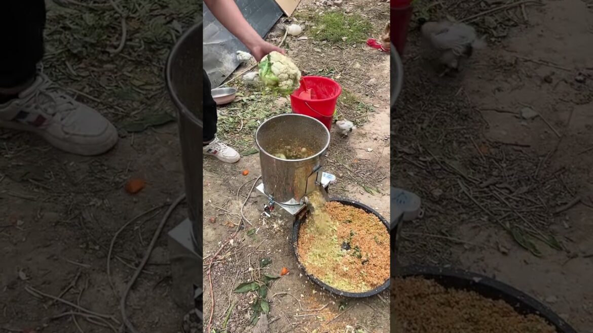 Rt 05269160901005 #seeddrills#gardening #agriculture #farming#vegetables#tools#shorts#farmer