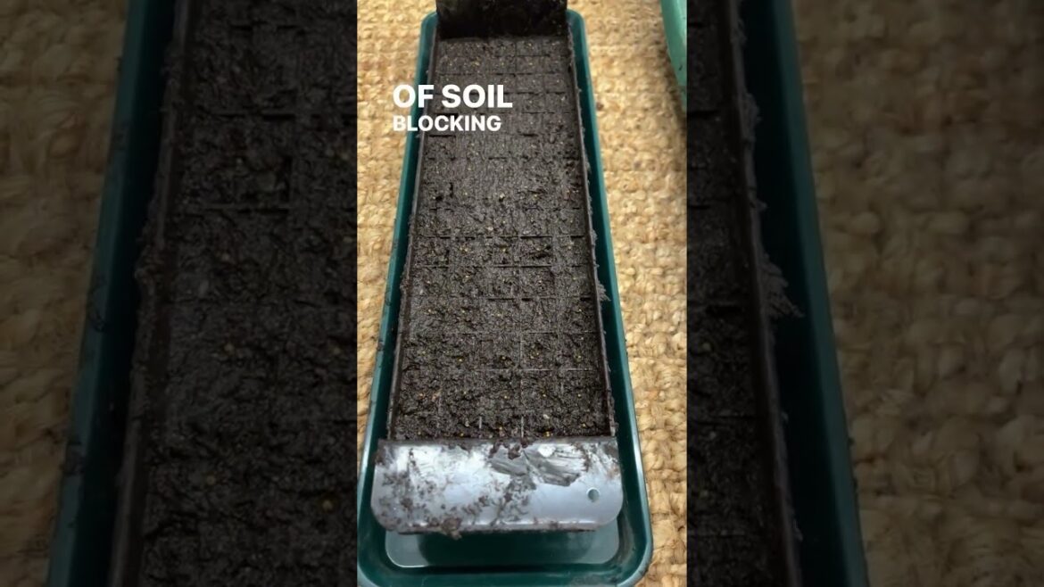 Streamline soil blocking with the Swift Mini 75 and the Swift Mini 27 Streamline soil blocking with the Swift Mini 75 and the Swift Mini 27