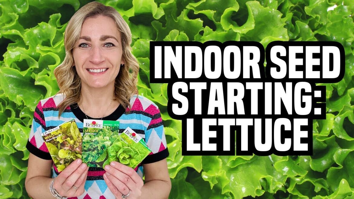 Starting Lettuce Indoors for the First Time | Garden Tower Plans & Bunny-Proofing!