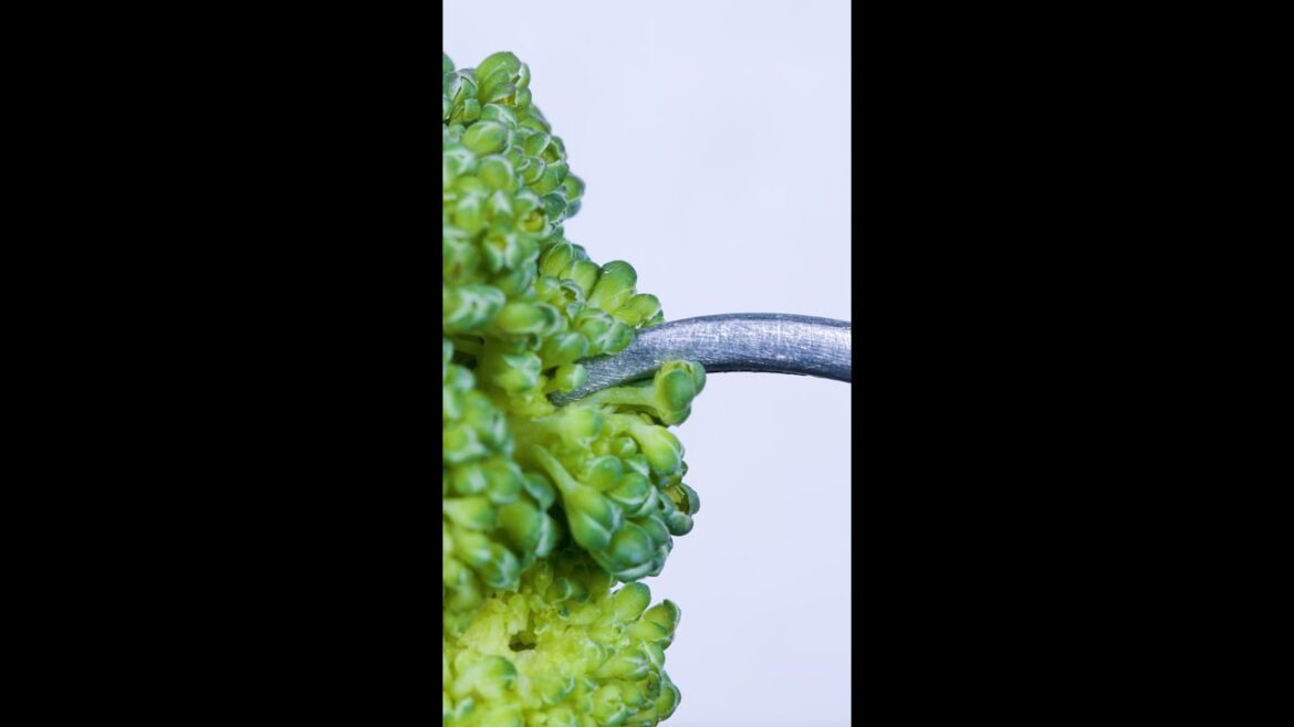 Oddly Satisfying Broccoli ASMR Oddly Satisfying Broccoli ASMR