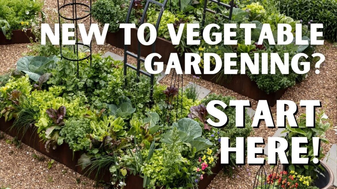 Vegetable Gardening for Beginners