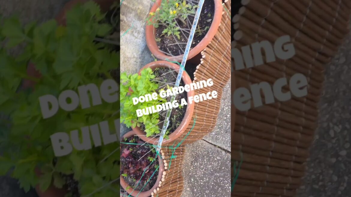 Gardening building a fence #gardening #tools