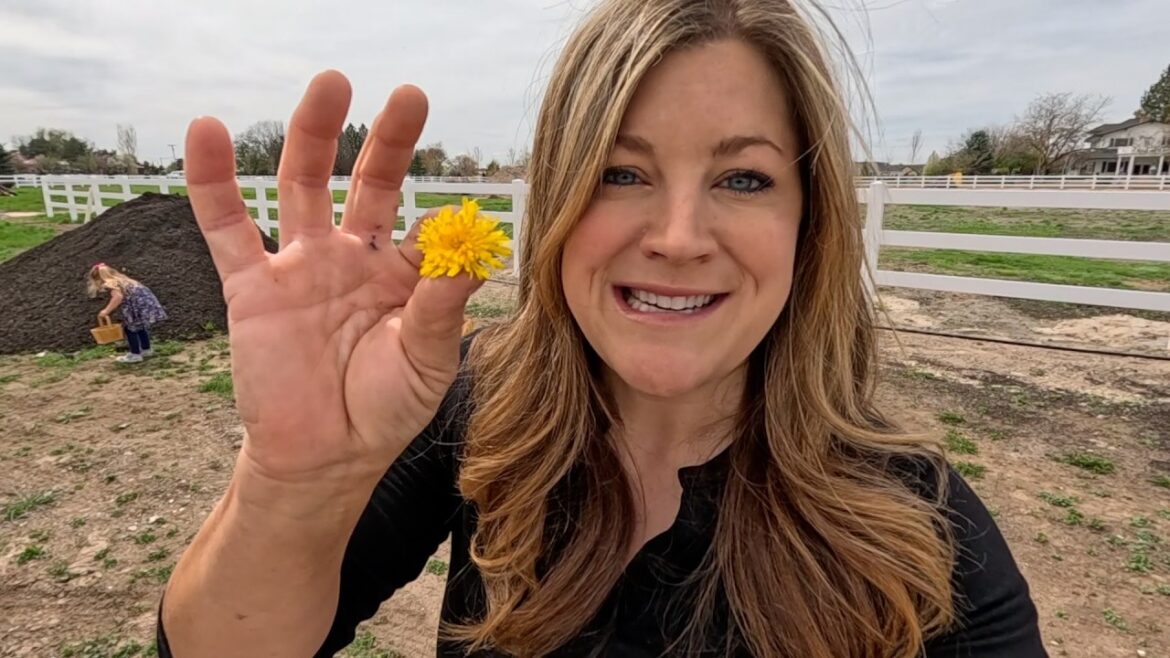 Making Dandelion/Honey Ice Cream & Planting Lots of Onions! 🌼🍦🧅  // Garden Answer