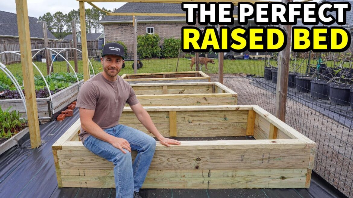 How To Build The PERFECT Raised Garden Bed!